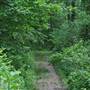 Chargrin Falls - Forest Ridge Preserve