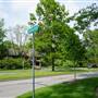 Cleveland Heights - Neighborhood (Demington Drive)
