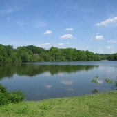 Shaker Heights - Lower Lakes