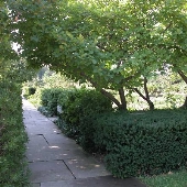 University Circle - Cleveland Botanical Gardens Herb Garden