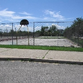 South Collinwood - Mark Tromba Park