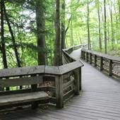 Northfeild Village - Brandywine Falls