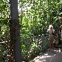 University Circle - Cleveland Botanical Gardens Costa Rica Cloud Forest Greenhouse