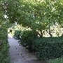 University Circle - Cleveland Botanical Gardens Herb Garden