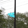 Fairfax - Longfellow Park