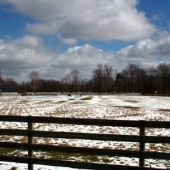 Kirkland Hills Village -  Farm (Center St)