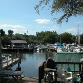 Forest City Yacht Club