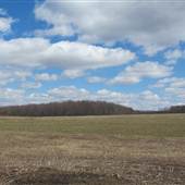 Ohio Farmland - Burton