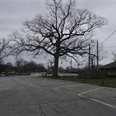 Lakewood Park