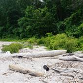 Edgewater Hill - Perkins Beach/ Edgewater Dr.