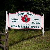 Chester Township - Sugar Pines Farm