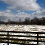Kirkland Hills Village -  Farm (Center St)