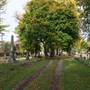 Ohio City - Monroe Cemetery