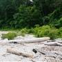 Edgewater Hill - Perkins Beach/ Edgewater Dr.