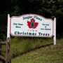 Chester Township - Sugar Pines Farm