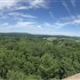 Kirtland - Holden Arboretum