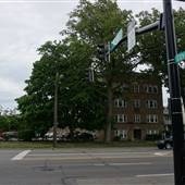 Parma - Luelda Ave