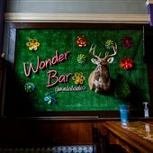 Downtown Cleveland-Wonder Bar