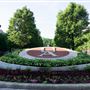 Akron-The University of Akron