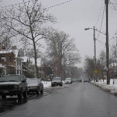 Lakewood - Neighborhood (Marlowe Ave)
