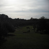 Kent - Beckwith's Orchard
