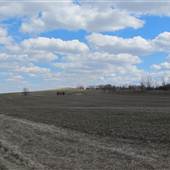 Hiram Township - Farm