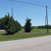 Berlin Heights Village - Quarry Hill Orchard