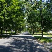 Cleveland Heights - Neighborhood (Lee Rd)