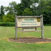 Castalia State Fish Hatchery