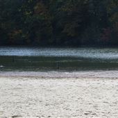 Berea-Wallace Lake Public Beach