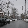 Lakewood - Neighborhood (Marlowe Ave)