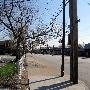 Jefferson - Neighborhood (W 135th St)