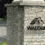 Aurora - Walden