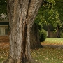 Geneva - Betty's Motel