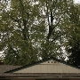Geneva - Betty's Motel