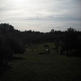 Kent - Beckwith's Orchard
