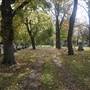 Ohio City - Monroe Cemetery