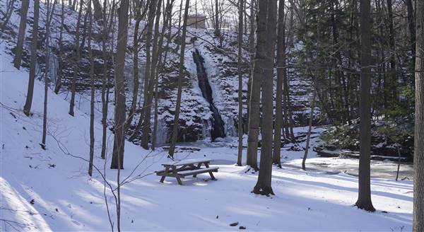 Richmond Heights - Greenwood Farm (1/9/2017 - Credits: T.J. Colleran)