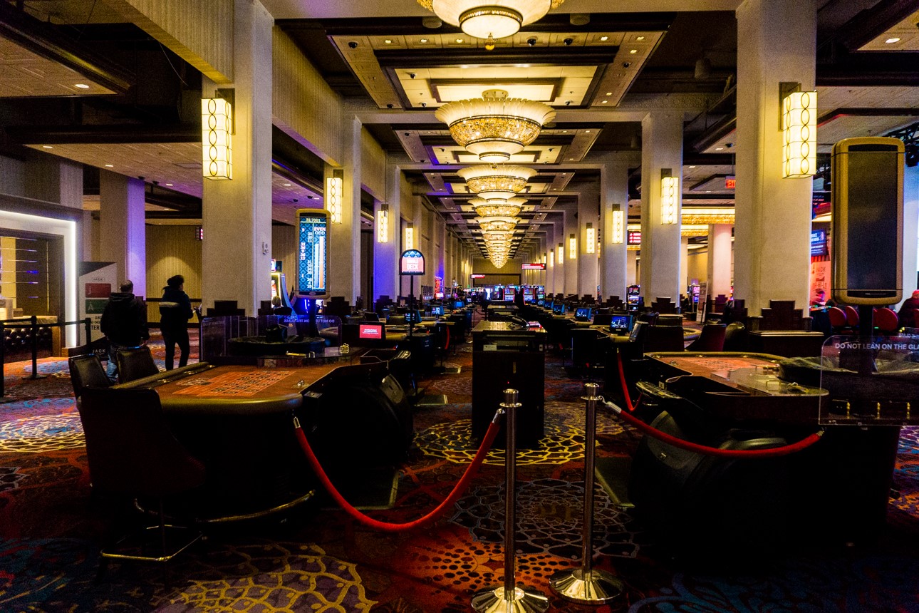 Pet Shop Open 24 Hours Near Me