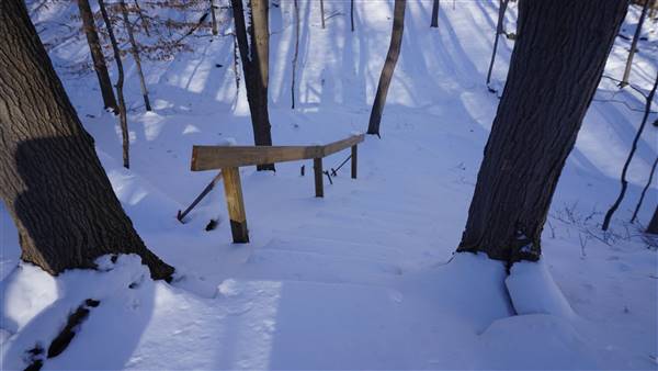 Richmond Heights - Greenwood Farm (1/9/2017)