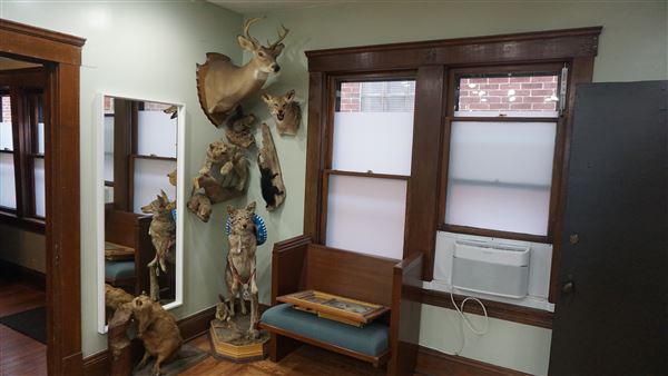 Tremont - Kollective Tattoo Studio