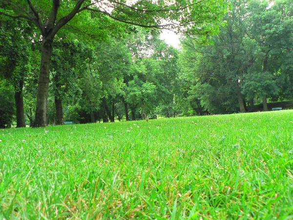 Cleveland Heights - Cumberland Park