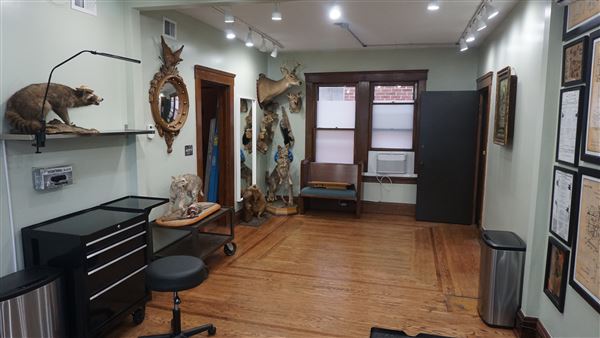 Tremont - Kollective Tattoo Studio