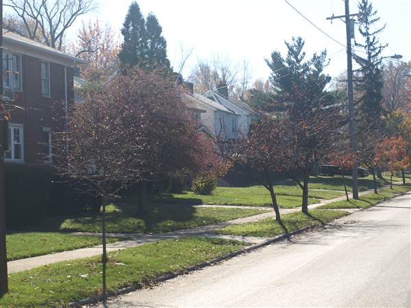 Cleveland Heights - Noble Food Deal