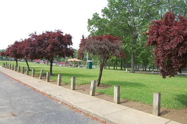 West Park - Impett Park