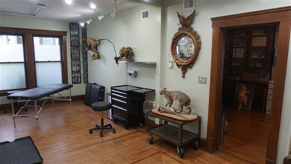 Tremont - Kollective Tattoo Studio